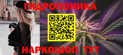 jwh Будённовск