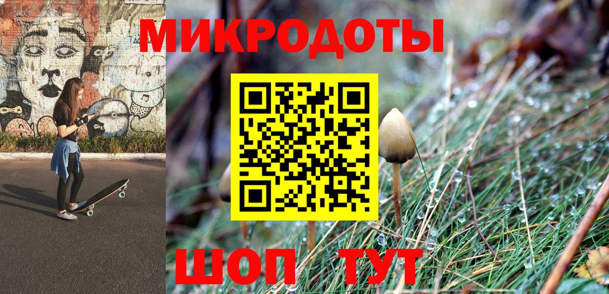 Галлюциногенные грибы Psilocybe Майкоп