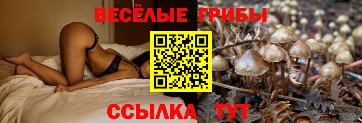 Майкоп  закладка  Вход с VPN  Галлюциногенные грибы Magic Shrooms 